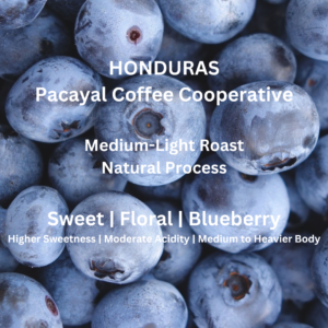 Honduras Pacayal Coffee Cooperative (8 ounces left)