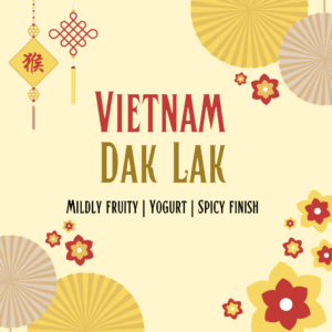 Vietnam Dak Lak 70% Dark Chocolate Bar (1 left)