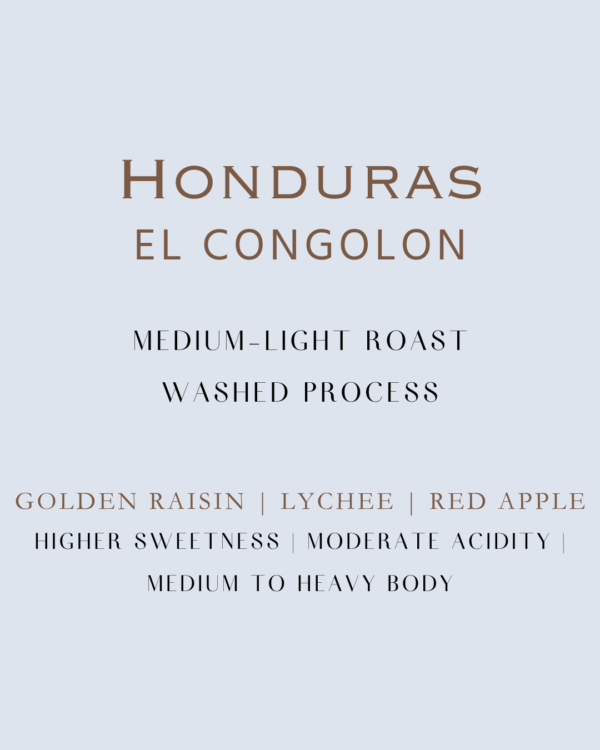 Honduras El Congolon medium light roast coffee washed process with flavor notes of golden raisin, lychee, and red apple. This coffee has higher sweetness, moderate acidity, and medium to heavy body.