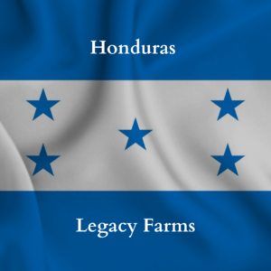 Legacy Farms Honduras